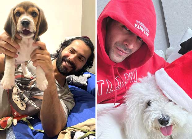 National Pet Day: From Varun Dhawan’s Joey to Kartik Aaryan’s Katori, Bollywood’s cutest throwback pet moments : Bollywood News - Bollywood Hungama