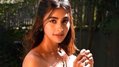 Pooja Hegde talks about the importance of auditions; highlights typecasting in the film industry : Bollywood News - Bollywood Hungama