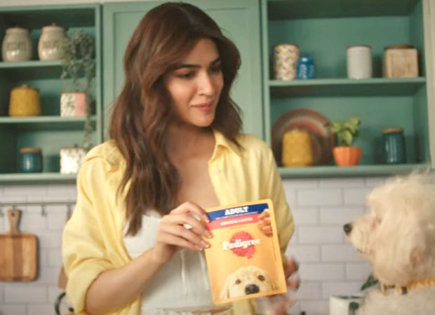 Kriti Sanon stars in Pedigree’s wet food campaign for dogs : Bollywood News - Bollywood Hungama