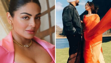 Neeru Bajwa deletes post on Sardaar Ji 3 amid controversy over casting Pakistani actress Hania Aamir : Bollywood News - Bollywood Hungama