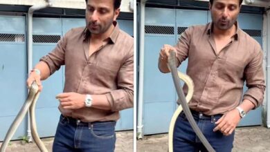 Sonu Sood rescues snake in Mumbai society, warns public against taking risks : Bollywood News - Bollywood Hungama