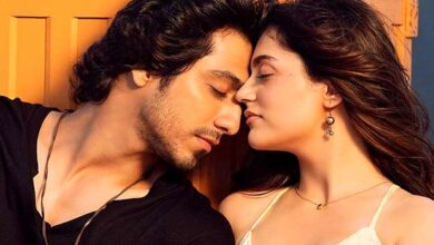 Saiyaara Worldwide Box Office: Ahan Panday – Aneet Padda starrer collects Rs. 576.21 cr. at the worldwide box office :Bollywood Box Office - Bollywood Hungama