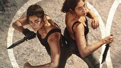 Alpha Box Office: Has an ordinary first week, aims for Rs. 60 crores lifetime