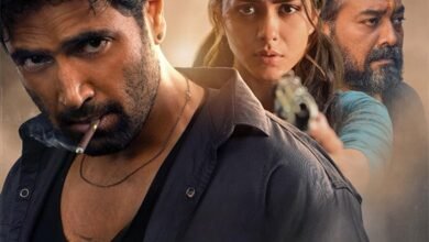 Dacoit Movie Review: DACOIT manages to hold interest due to its massy moments